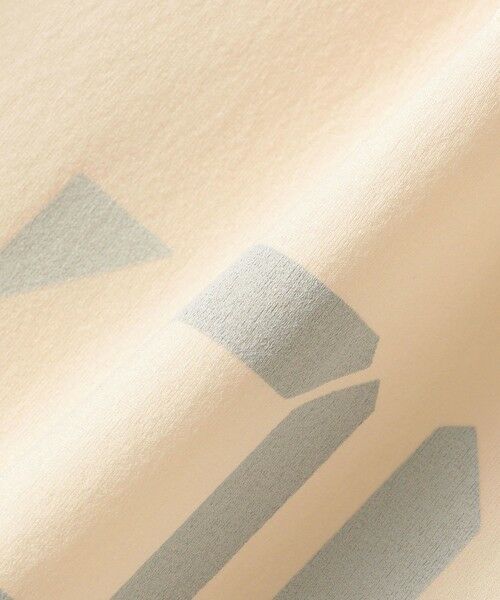 SHIPS / シップス Tシャツ | 【SHIPS KIDS別注】MOUN TEN.:160cm /〈UVカット/吸水速乾〉TEE | 詳細5