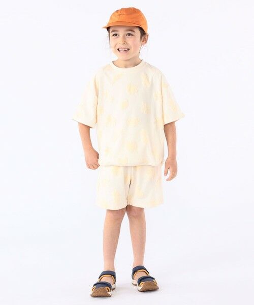 SHIPS / シップス サンダル | 【WEB限定】Teva:TOACHI HYDRATREK | 詳細17