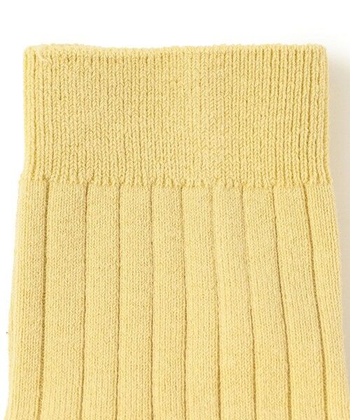 SHIPS / シップス ソックス | condor:ベーシック ショート リブ ソックス | 詳細1