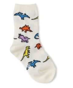 SHIPS / シップス ソックス | SHIPS KIDS:ダイナソー ソックス
