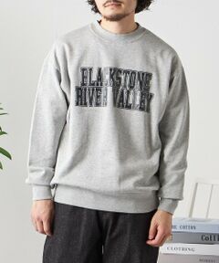 SHIPS / シップス Tシャツ | 【WEB限定】SHIPS any: NATIONAL PARK プリント スウェット 23AW◇