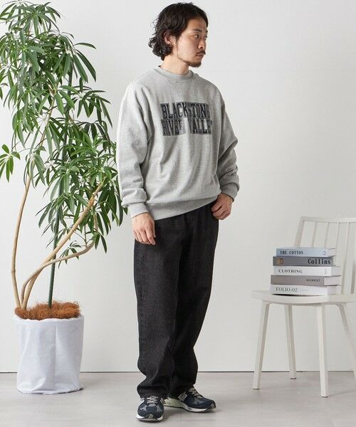 SHIPS / シップス Tシャツ | 【WEB限定】SHIPS any: NATIONAL PARK プリント スウェット 23AW◇ | 詳細6