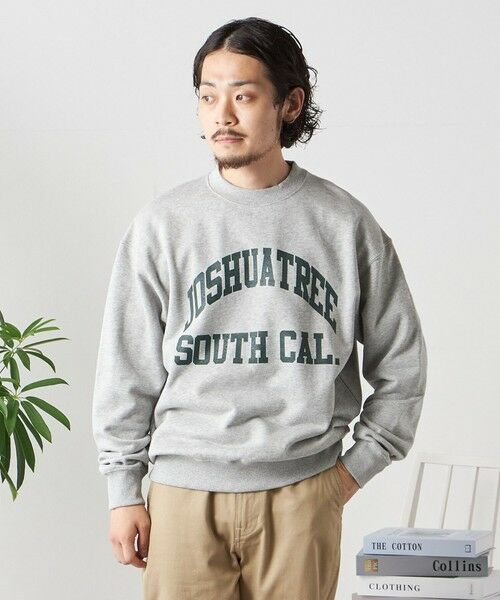 SHIPS / シップス Tシャツ | 【WEB限定】SHIPS any: NATIONAL PARK プリント スウェット 23AW◇ | 詳細15