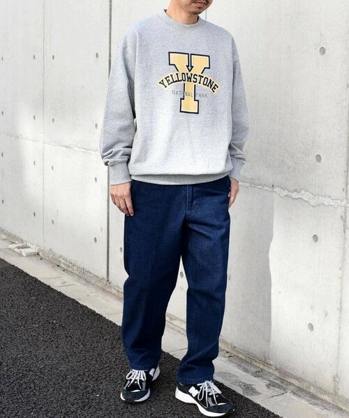 SHIPS / シップス Tシャツ | 【WEB限定】SHIPS any: NATIONAL PARK プリント スウェット 23AW◇ | 詳細26