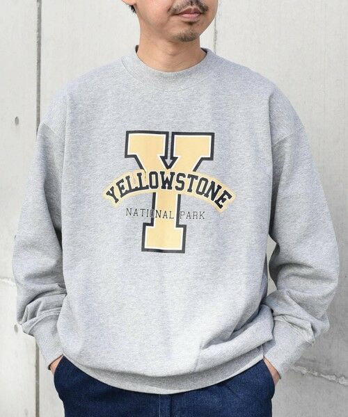 SHIPS / シップス Tシャツ | 【WEB限定】SHIPS any: NATIONAL PARK プリント スウェット 23AW◇ | 詳細27