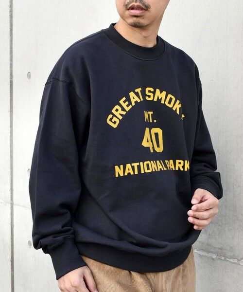 SHIPS / シップス Tシャツ | 【WEB限定】SHIPS any: NATIONAL PARK プリント スウェット 23AW◇(ブラック)