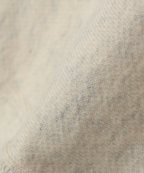 SHIPS / シップス スウェット | 【SHIPS any別注】Champion: リバースウィーブ(R) STANDARD スウェット◇ | 詳細11