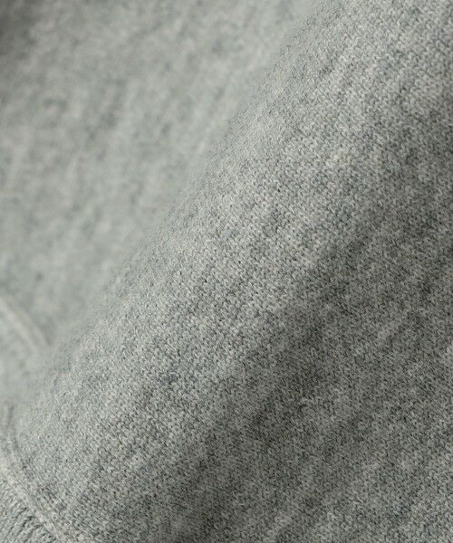 SHIPS / シップス スウェット | 【SHIPS any別注】Champion: リバースウィーブ(R) STANDARD スウェット◇ | 詳細28