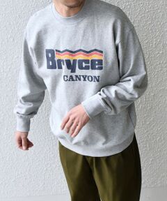 SHIPS / シップス スウェット | 【WEB限定】SHIPS any: NATIONAL PARK プリント スウェット 24FW (ユニセックス)◇