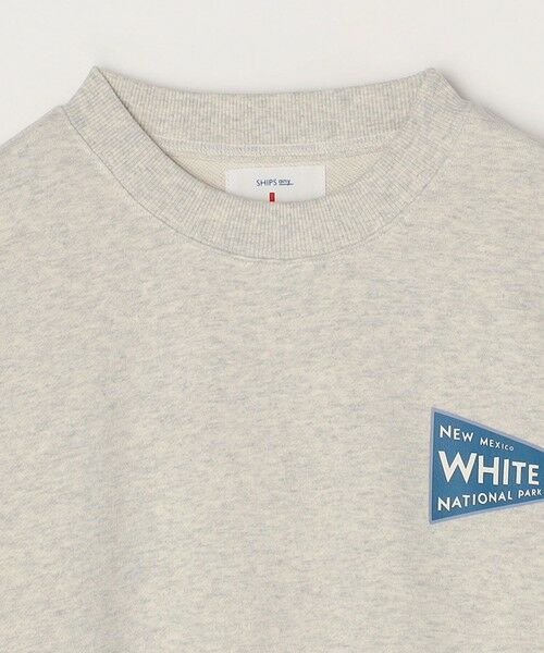 SHIPS / シップス スウェット | 【WEB限定】SHIPS any: NATIONAL PARK プリント スウェット 24FW (ユニセックス)◇ | 詳細10