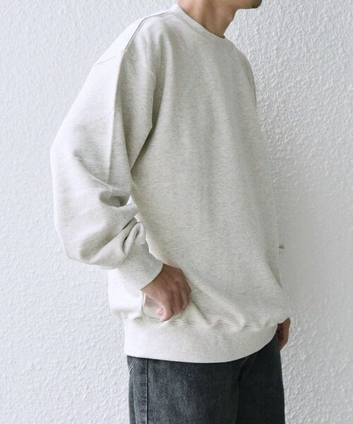 SHIPS / シップス スウェット | 【WEB限定】SHIPS any: NATIONAL PARK プリント スウェット 24FW (ユニセックス)◇ | 詳細8