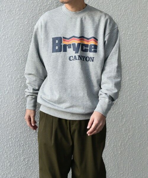 SHIPS / シップス スウェット | 【WEB限定】SHIPS any: NATIONAL PARK プリント スウェット 24FW (ユニセックス)◇ | 詳細17