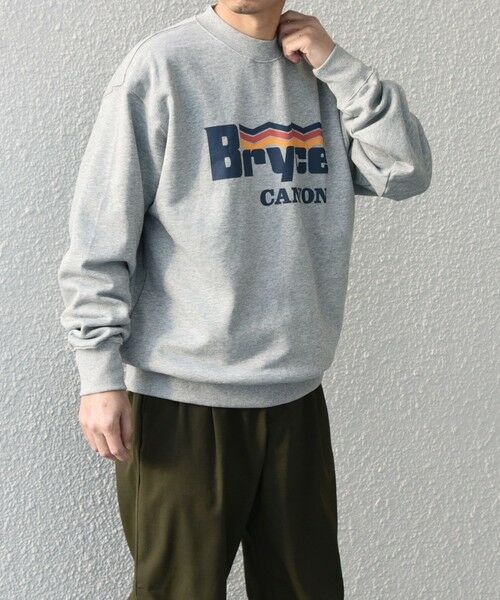 SHIPS / シップス スウェット | 【WEB限定】SHIPS any: NATIONAL PARK プリント スウェット 24FW (ユニセックス)◇ | 詳細18