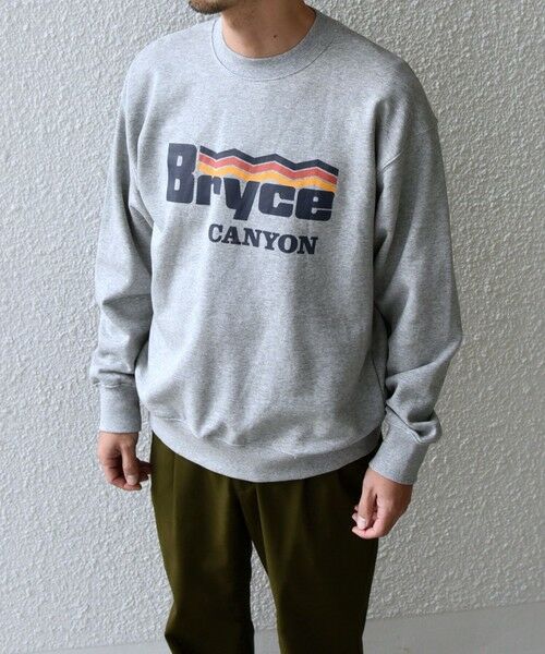 SHIPS / シップス スウェット | 【WEB限定】SHIPS any: NATIONAL PARK プリント スウェット 24FW (ユニセックス)◇ | 詳細19