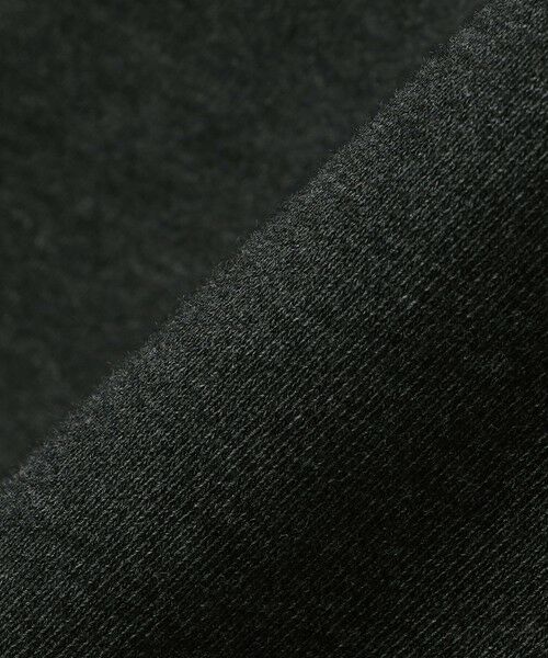 SHIPS / シップス スウェット | 【WEB限定】SHIPS any: NATIONAL PARK プリント スウェット 24FW (ユニセックス)◇ | 詳細30