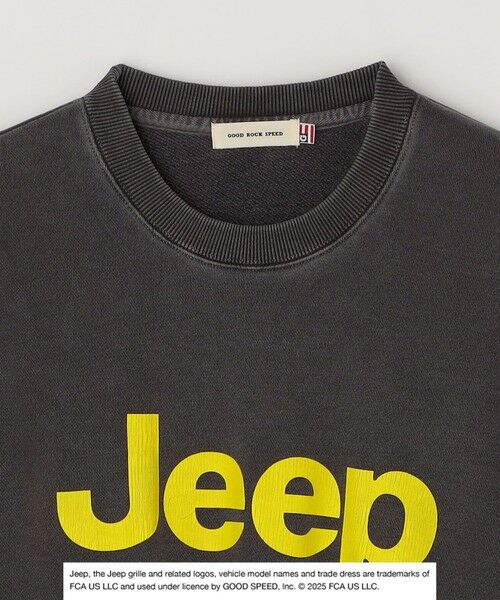 SHIPS / シップス スウェット | GOOD ROCK SPEED: ピグメントダイ ジープ ロゴ クラックプリント スウェット◇ | 詳細7