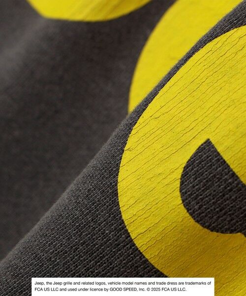 SHIPS / シップス スウェット | GOOD ROCK SPEED: ピグメントダイ ジープ ロゴ クラックプリント スウェット◇ | 詳細11