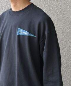 SHIPS / シップス スウェット | 【WEB限定】SHIPS any: NATIONAL PARK プリント スウェット 25AW(ユニセックス)◇