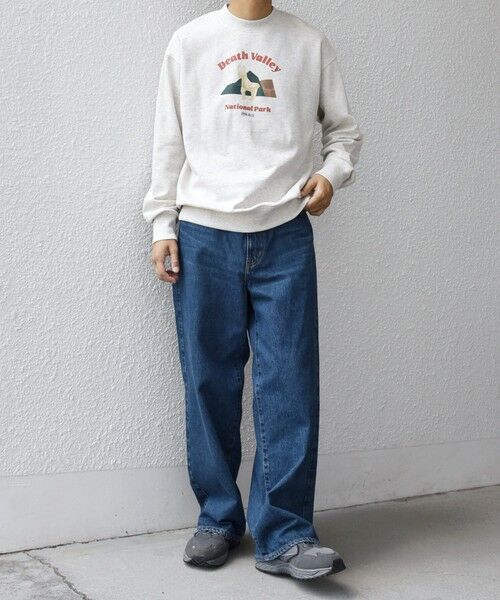 SHIPS / シップス スウェット | 【WEB限定】SHIPS any: NATIONAL PARK プリント スウェット 25AW(ユニセックス)◇ | 詳細15