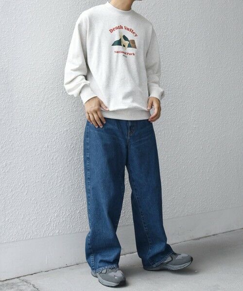 SHIPS / シップス スウェット | 【WEB限定】SHIPS any: NATIONAL PARK プリント スウェット 25AW(ユニセックス)◇ | 詳細16