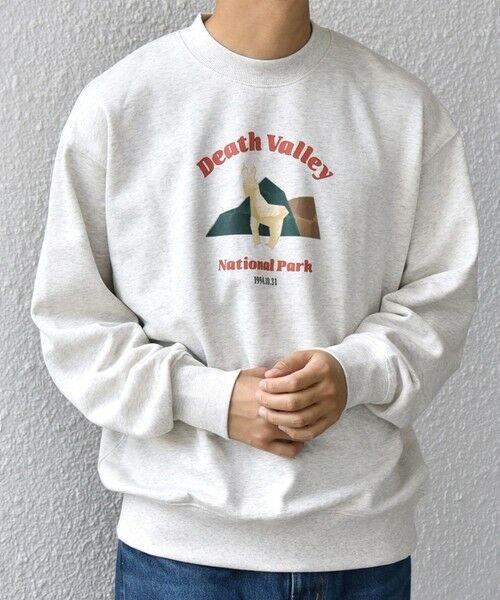 SHIPS / シップス スウェット | 【WEB限定】SHIPS any: NATIONAL PARK プリント スウェット 25AW(ユニセックス)◇ | 詳細17