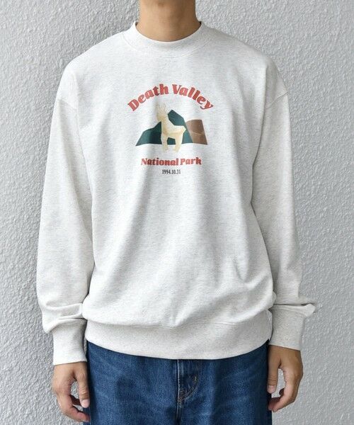 SHIPS / シップス スウェット | 【WEB限定】SHIPS any: NATIONAL PARK プリント スウェット 25AW(ユニセックス)◇ | 詳細18