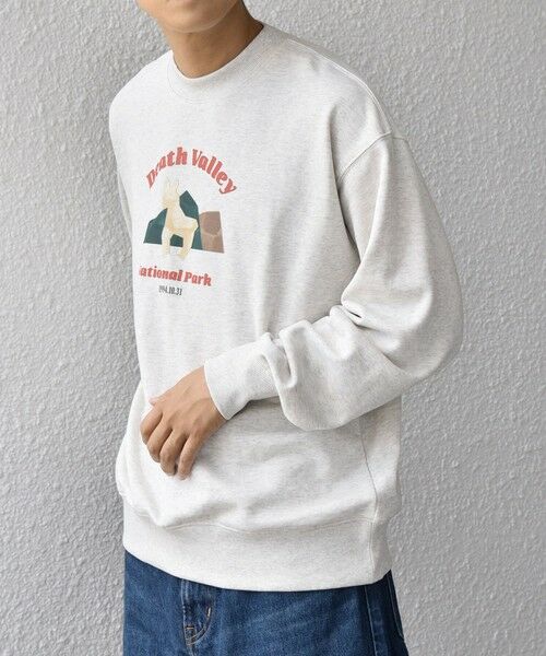 SHIPS / シップス スウェット | 【WEB限定】SHIPS any: NATIONAL PARK プリント スウェット 25AW(ユニセックス)◇ | 詳細19