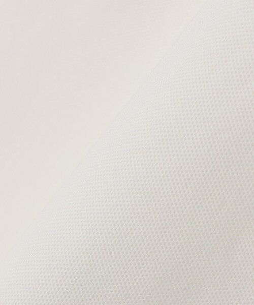 SHIPS / シップス Tシャツ | SHIPS any:〈抗菌防臭/遮熱/UVカット機能等〉 鹿の子 ロングスリーブ ポロシャツ◆ | 詳細7