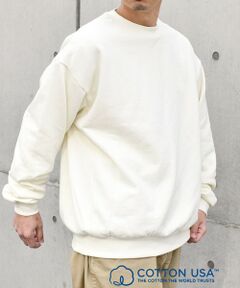 SHIPS / シップス スウェット | SHIPS any: COTTON USA ルーズ クルーネック 裏毛 スウェット◇