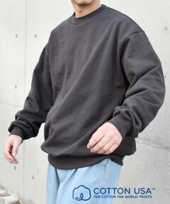 SHIPS / シップス スウェット | SHIPS any: COTTON USA ルーズ クルーネック 裏毛 スウェット◇