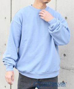 SHIPS / シップス スウェット | SHIPS any: COTTON USA ルーズ クルーネック 裏毛 スウェット◇