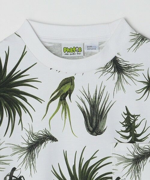 SHIPS / シップス Tシャツ | 【SHIPS any別注】Phatee: オーガニックコットン パターン プリント スピンドル ポケット Tシャツ◇ | 詳細14