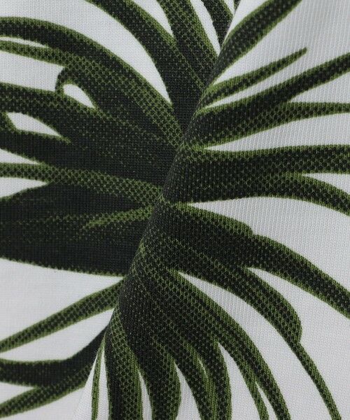 SHIPS / シップス Tシャツ | 【SHIPS any別注】Phatee: オーガニックコットン パターン プリント スピンドル ポケット Tシャツ◇ | 詳細21