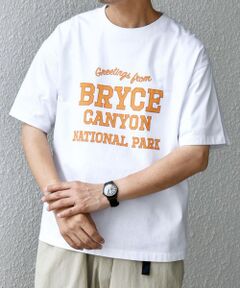 SHIPS / シップス Tシャツ | SHIPS any: NATIONAL PARK ヴィンテージライク プリント Tシャツ◇