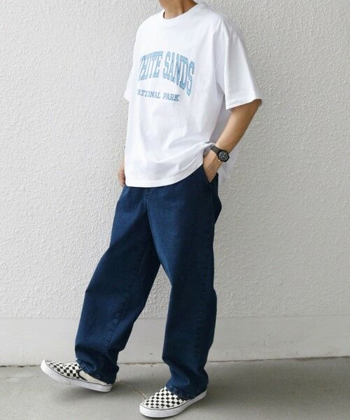 SHIPS / シップス Tシャツ | SHIPS any: NATIONAL PARK ヴィンテージライク プリント Tシャツ◇ | 詳細2