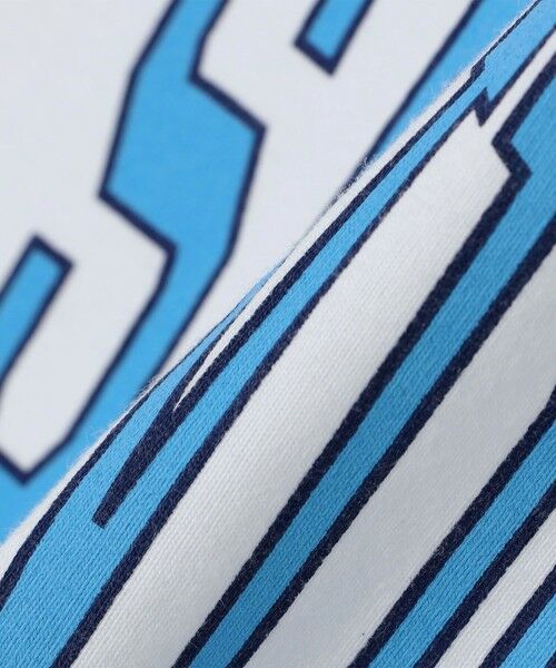 SHIPS / シップス Tシャツ | SHIPS any: NATIONAL PARK ヴィンテージライク プリント Tシャツ◇ | 詳細7