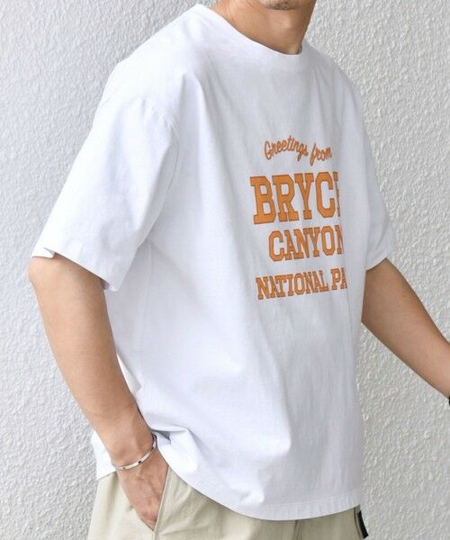 SHIPS / シップス Tシャツ | SHIPS any: NATIONAL PARK ヴィンテージライク プリント Tシャツ◇ | 詳細12