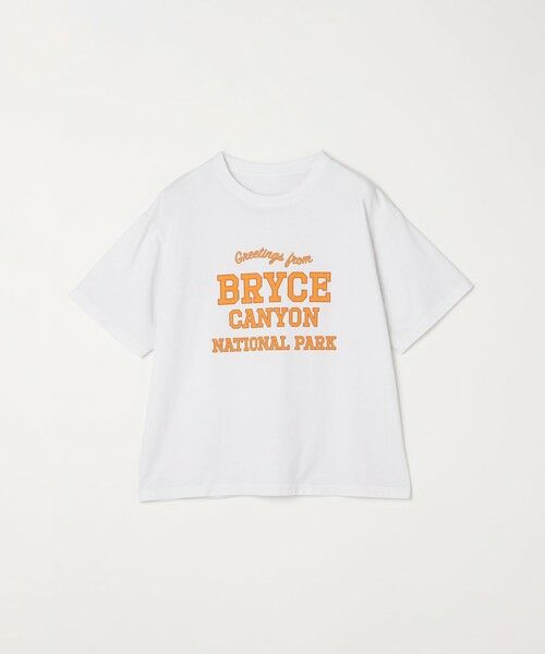 SHIPS / シップス Tシャツ | SHIPS any: NATIONAL PARK ヴィンテージライク プリント Tシャツ◇ | 詳細13