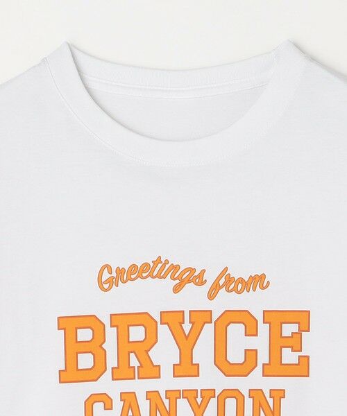 SHIPS / シップス Tシャツ | SHIPS any: NATIONAL PARK ヴィンテージライク プリント Tシャツ◇ | 詳細14