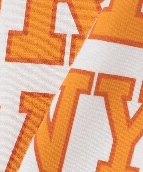 SHIPS / シップス Tシャツ | SHIPS any: NATIONAL PARK ヴィンテージライク プリント Tシャツ◇ | 詳細17