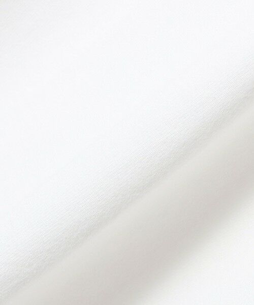 SHIPS / シップス Tシャツ | Hanes: SHIRO 半袖 パック Ｔシャツ | 詳細6