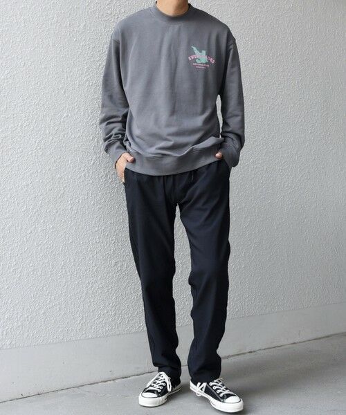 SHIPS / シップス その他パンツ | SHIPS any: スーパー ストレッチ 裏起毛 ウォーム スリム テーパード イージー パンツ◆ | 詳細30