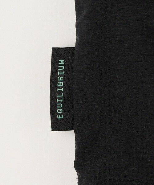 SHIPS / シップス ブルゾン | SHIPS any: 〈撥水・透湿・軽量〉PERTEX(R) ハーフジップ プルオーバー ブルゾン (セットアップ対応)◇ | 詳細23