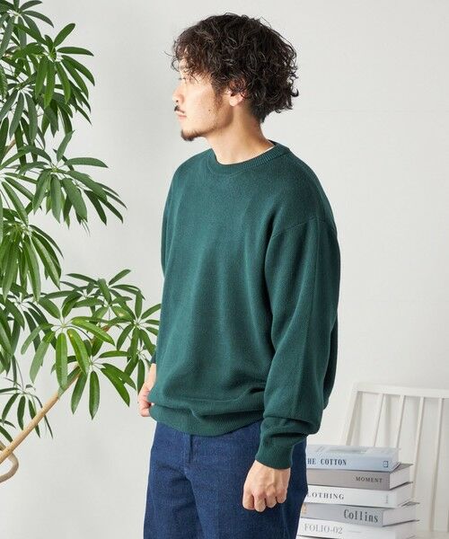 SHIPS / シップス ニット・セーター | SHIPS any: 〈手洗い可能〉コットン カシミヤ スウェットライク クルーネック ニット◇ | 詳細21