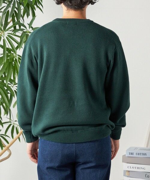 SHIPS / シップス ニット・セーター | SHIPS any: 〈手洗い可能〉コットン カシミヤ スウェットライク クルーネック ニット◇ | 詳細27