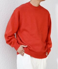 SHIPS / シップス ニット・セーター | SHIPS any: French Merino ウール クルーネック ニット◇