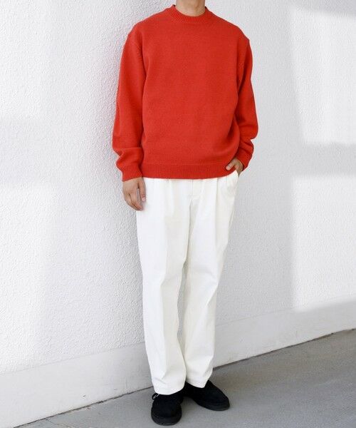 SHIPS / シップス ニット・セーター | SHIPS any: French Merino ウール クルーネック ニット◇ | 詳細29