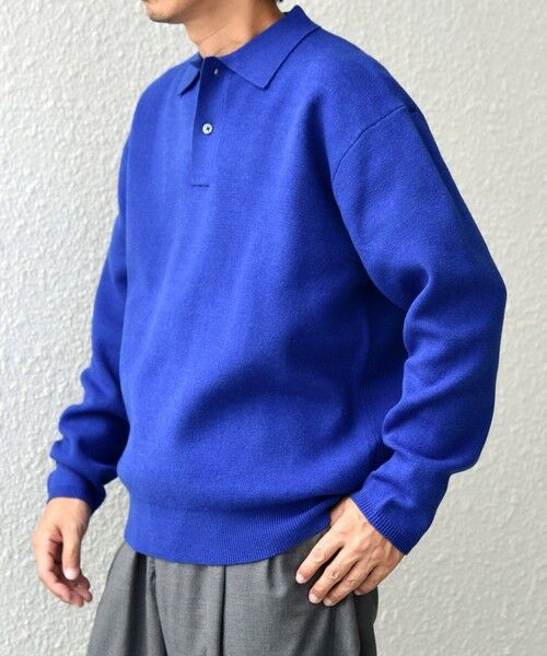 SHIPS / シップス ニット・セーター | SHIPS any:〈手洗い可能〉ハイゲージ ミラノリブ ブラッシュド リラックス ニット ポロ◇ | 詳細16