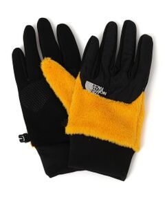 SHIPS / シップス 手袋 | THE NORTH FACE :DENALI ETIP フリース グローブ