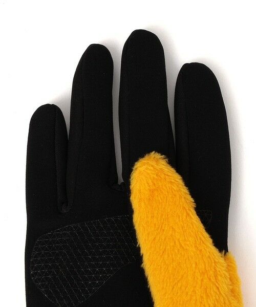 SHIPS / シップス 手袋 | THE NORTH FACE :DENALI ETIP フリース グローブ | 詳細3